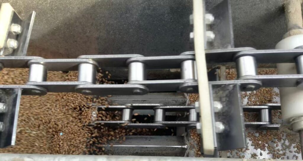 Chain conveyor system transporting grain with scraper chain and flights